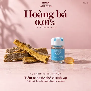 Hoàng bá